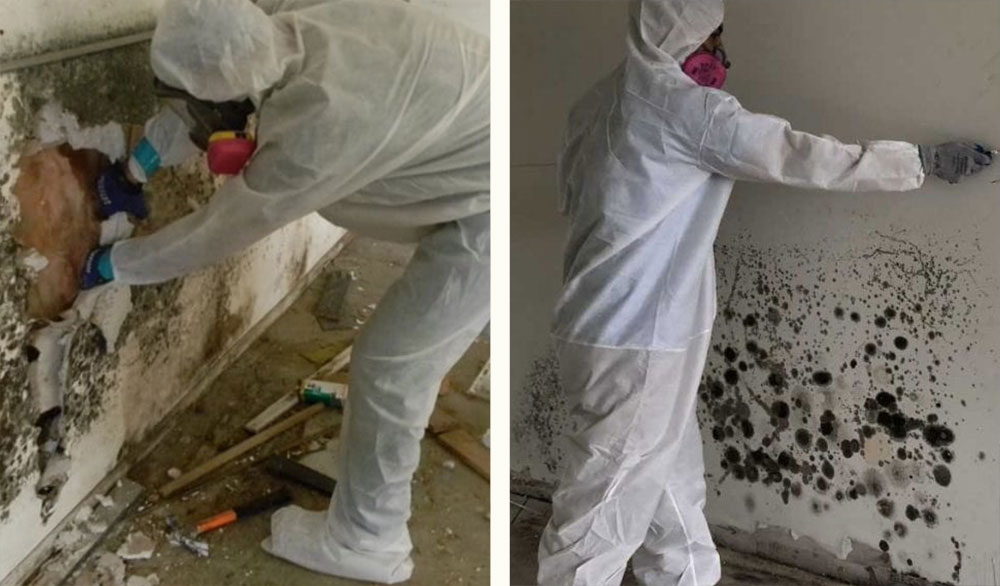 Mold/Microbial Remediation